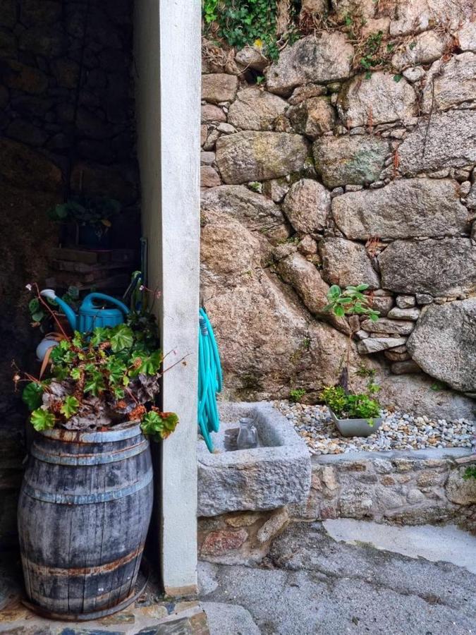 Alojamiento Casa Carlota Villadesuso 外观 照片