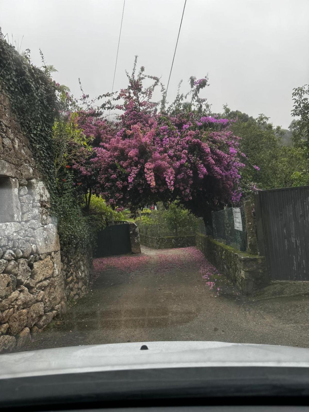 Alojamiento Casa Carlota Villadesuso 外观 照片